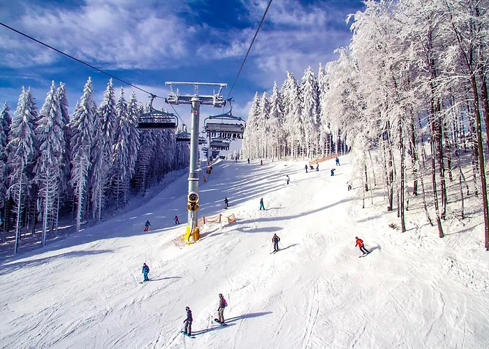 Welcome In - Met Eigen Parkeerplaats, Gelegen Aan De Skilift En Bikepark, Fiets- En Skiberging アパート ヴィンターベルク